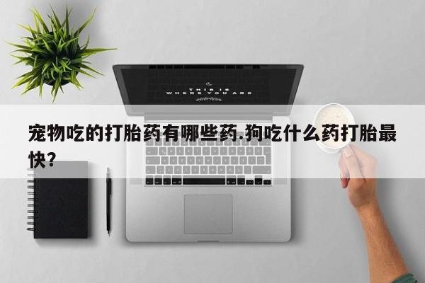 米非司酮片多少钱一盒宠物吃的打胎药有哪些药.狗吃什么药打胎最快？