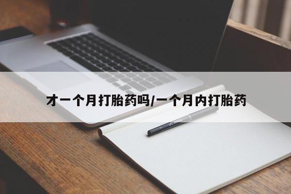 米非司酮片多少钱一盒才一个月打胎药吗/一个月内打胎药