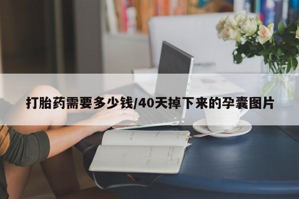 米非司酮片多少钱一盒打胎药需要多少钱/40天掉下来的孕囊图片